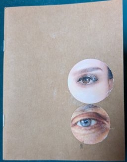 Libri Artista  &raquo; Questioni Minime Amplificate